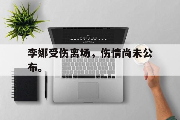 综合体育娱乐平台-李娜受伤离场，伤情尚未公布。