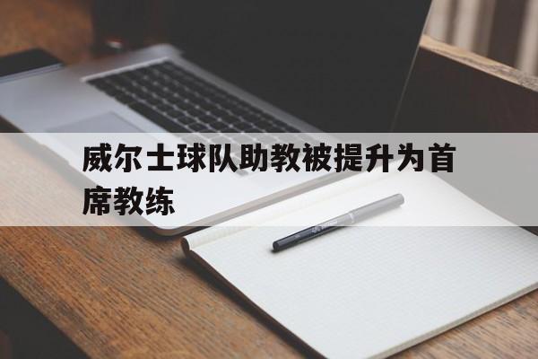真人在线游戏-威尔士球队助教被提升为首席教练